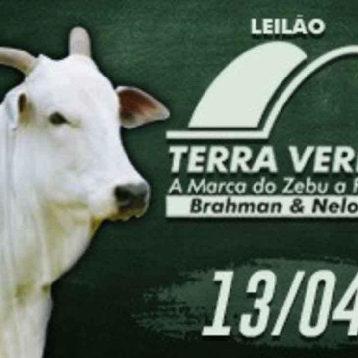 EM BREVE - LEILÃO TERRA VERDE - BRAHMAN & NELORE